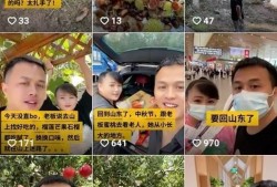 水果大叔爆料视频下载,视频下载背后的秘密大公开