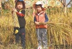 阿婆爆料秋天妈妈视频,秋天妈妈视频背后的温馨故事