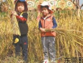 阿婆爆料秋天妈妈视频,秋天妈妈视频背后的温馨故事