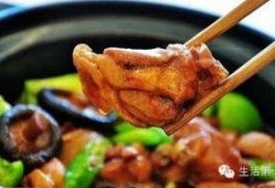 黄焖鸡爆料直播视频,一场美食与爆料的视觉盛宴