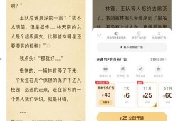 吃瓜网站小说免费阅读,吃瓜网站上的免费小说阅读之旅